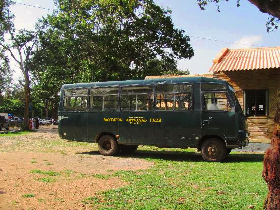 bandipur-national-park-safari.jpg