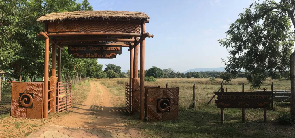 Satpura National Park, Madhya Pradesh